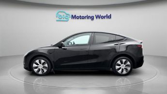 Tesla Model Y ALL MODELS
