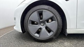 Tesla Model 3 ALL MODELS