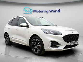 Ford Kuga ST-LINE X EDITION