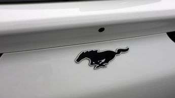 Ford Mustang Mach-E BASE