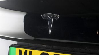 Tesla Model 3 ALL MODELS