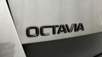 Skoda Octavia VRS TDI DSG