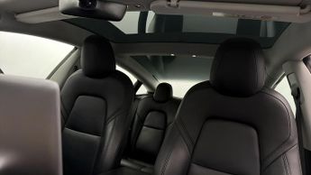 Tesla Model 3 ALL MODELS