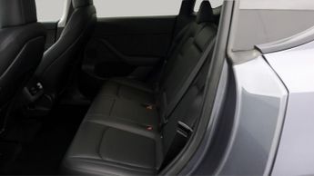 Tesla Model Y ALL MODELS