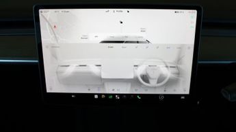 Tesla Model Y ALL MODELS