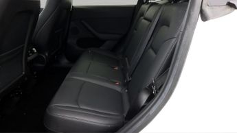 Tesla Model Y ALL MODELS