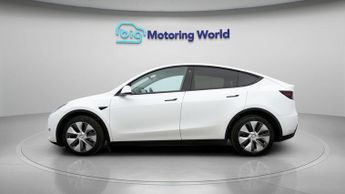 Tesla Model Y ALL MODELS