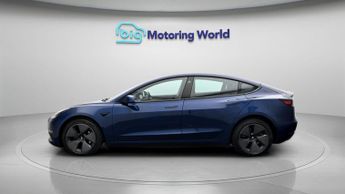 Tesla Model 3 ALL MODELS