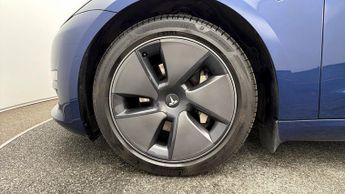 Tesla Model 3 ALL MODELS
