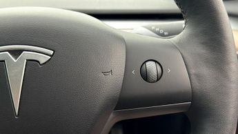 Tesla Model 3 ALL MODELS