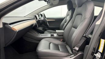 Tesla Model 3 ALL MODELS