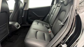 Tesla Model 3 ALL MODELS