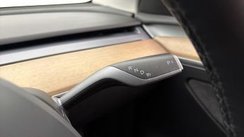 Tesla Model Y ALL MODELS