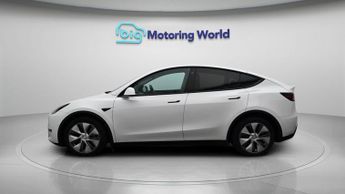 Tesla Model Y ALL MODELS