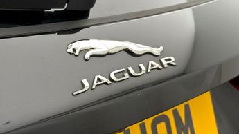 Jaguar F-PACE R-DYNAMIC SE