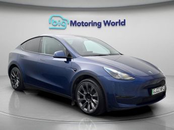 Tesla Model Y ALL MODELS