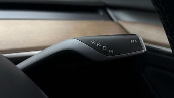 Tesla Model 3 ALL MODELS