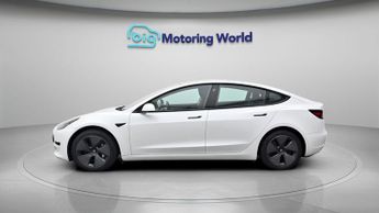 Tesla Model 3 ALL MODELS