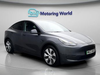 Tesla Model Y ALL MODELS