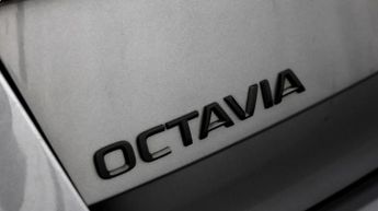 Skoda Octavia VRS TDI DSG