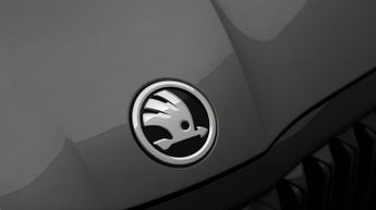 Skoda Octavia VRS TDI DSG