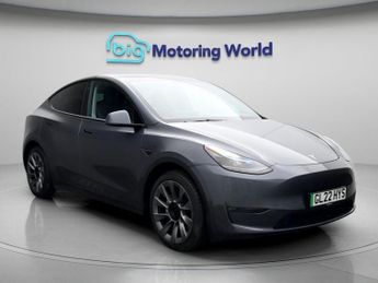 Tesla Model Y ALL MODELS