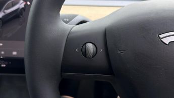 Tesla Model Y ALL MODELS