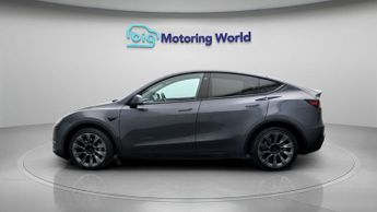 Tesla Model Y ALL MODELS