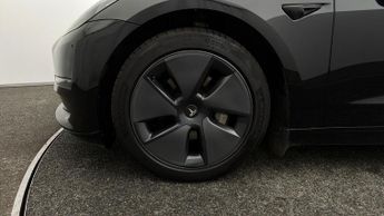 Tesla Model 3 ALL MODELS