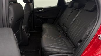 Ford Kuga VIGNALE