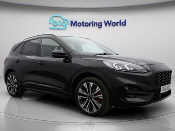 Ford Kuga ST-LINE X EDITION