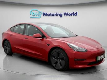 Tesla Model 3 ALL MODELS