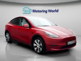 Tesla Model Y ALL MODELS