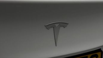 Tesla Model 3 ALL MODELS