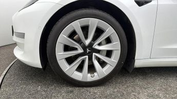 Tesla Model 3 ALL MODELS