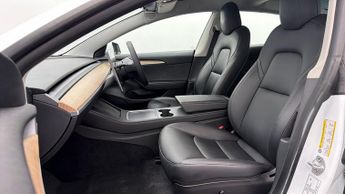 Tesla Model 3 ALL MODELS