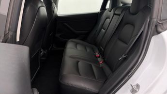 Tesla Model 3 ALL MODELS