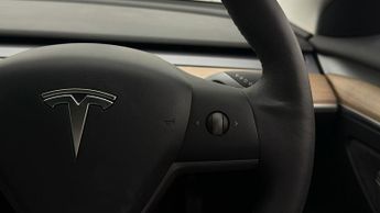 Tesla Model 3 ALL MODELS