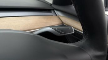 Tesla Model 3 ALL MODELS