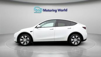Tesla Model Y ALL MODELS