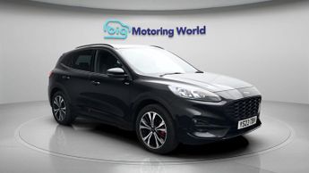 Ford Kuga ST-LINE X EDITION