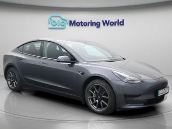 Tesla Model 3 ALL MODELS