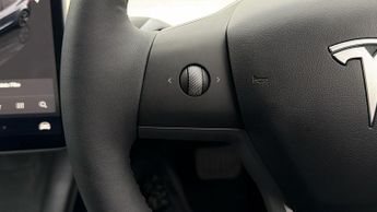 Tesla Model 3 ALL MODELS
