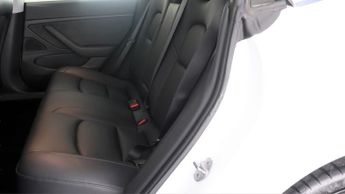 Tesla Model 3 ALL MODELS