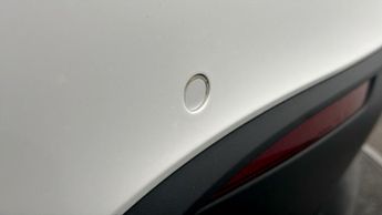 Tesla Model Y ALL MODELS