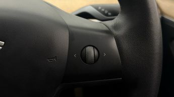 Tesla Model Y ALL MODELS