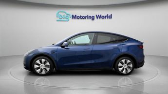 Tesla Model Y ALL MODELS