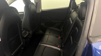 Tesla Model Y ALL MODELS