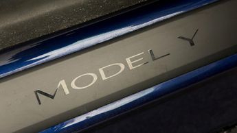 Tesla Model Y ALL MODELS