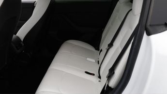 Tesla Model Y ALL MODELS